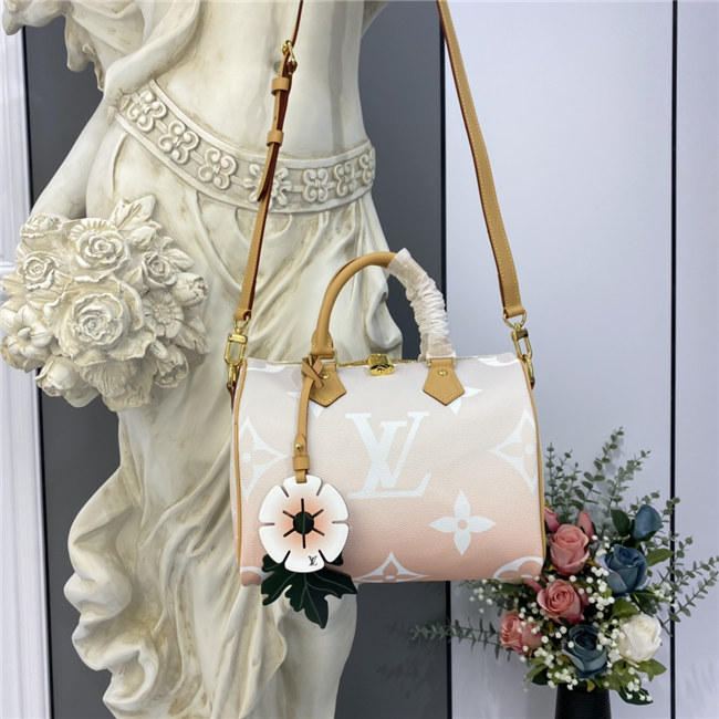 Louis Vuitton Speedy Bandouliere 25 Mist Louis Vuitton Speedy Bandouliere 25 Mist