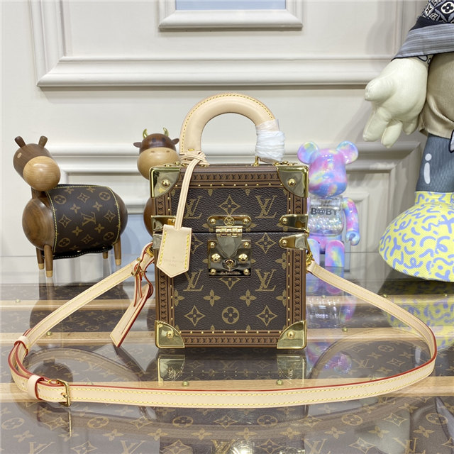 Louis Vuitton Camera Box Monogram Louis Vuitton Camera Box Monogram