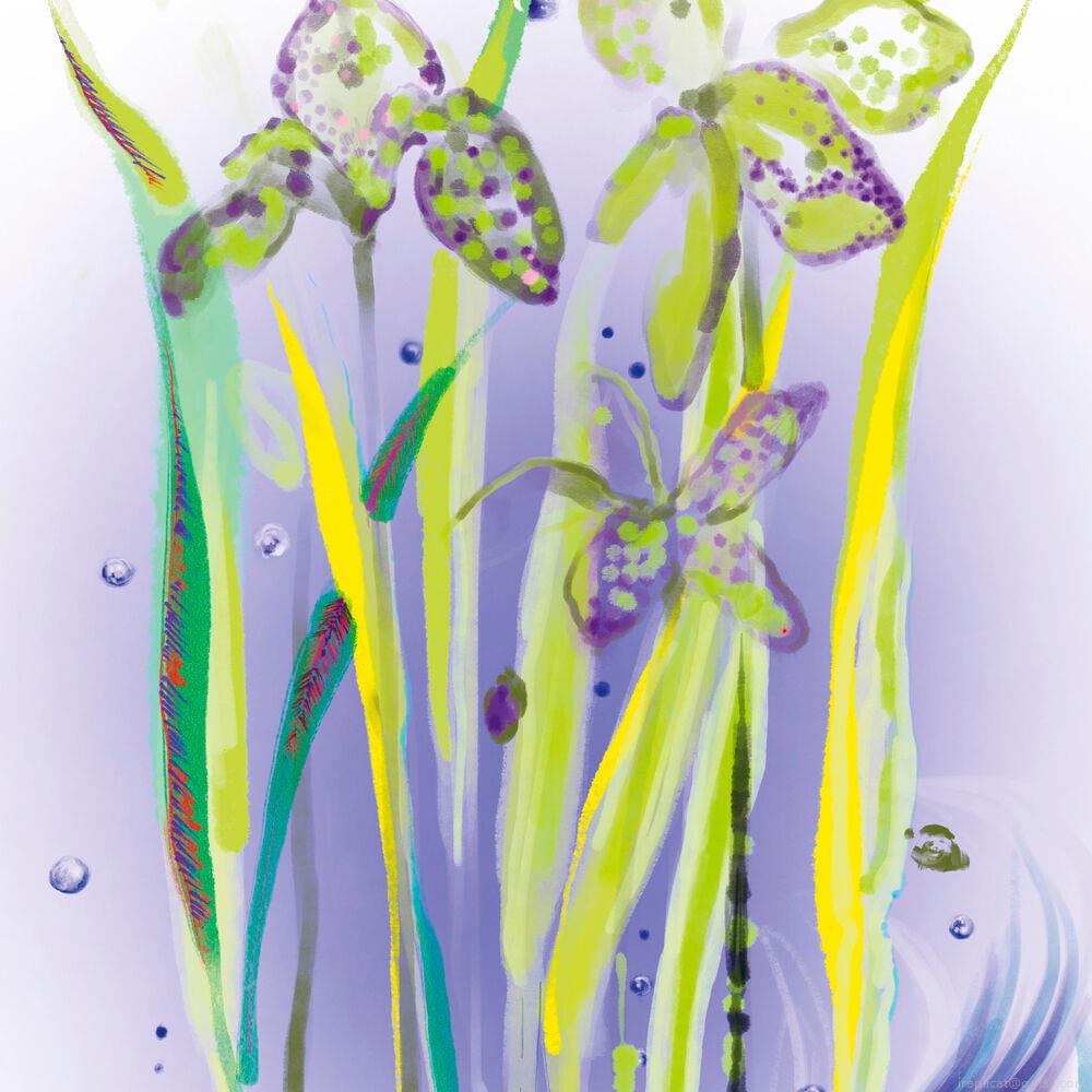 Perfume Sisley L'eau Rêvée d'Alma Unissex Eau de Toilette 50 ml Perfume Sisley L'eau Rêvée d'Alma Unissex Eau de Toilette 50 ml